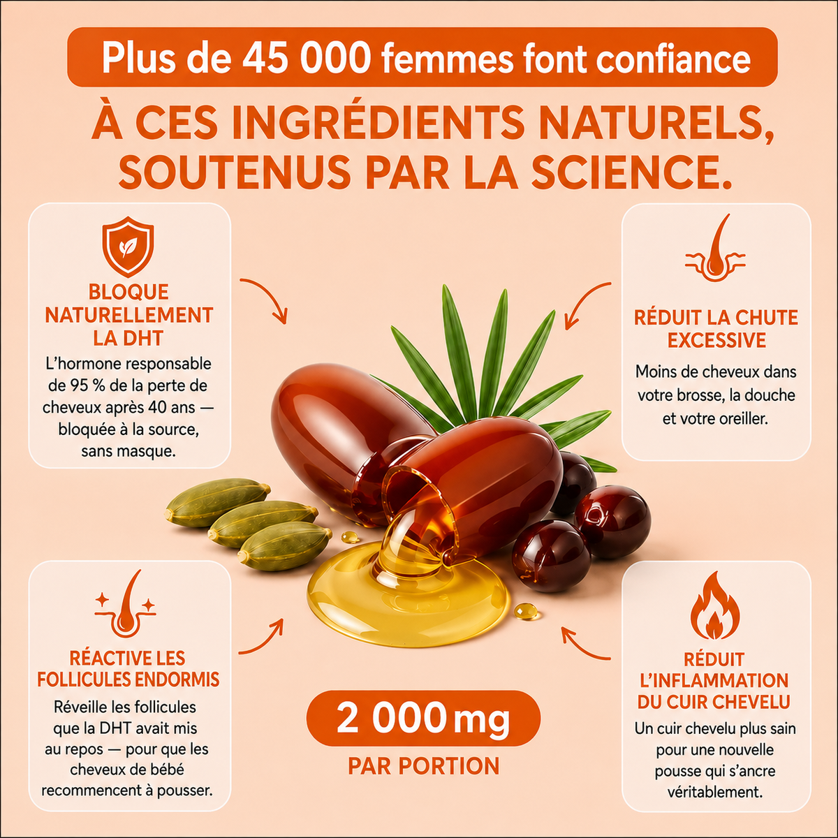 Capillys™ — points forts en français
