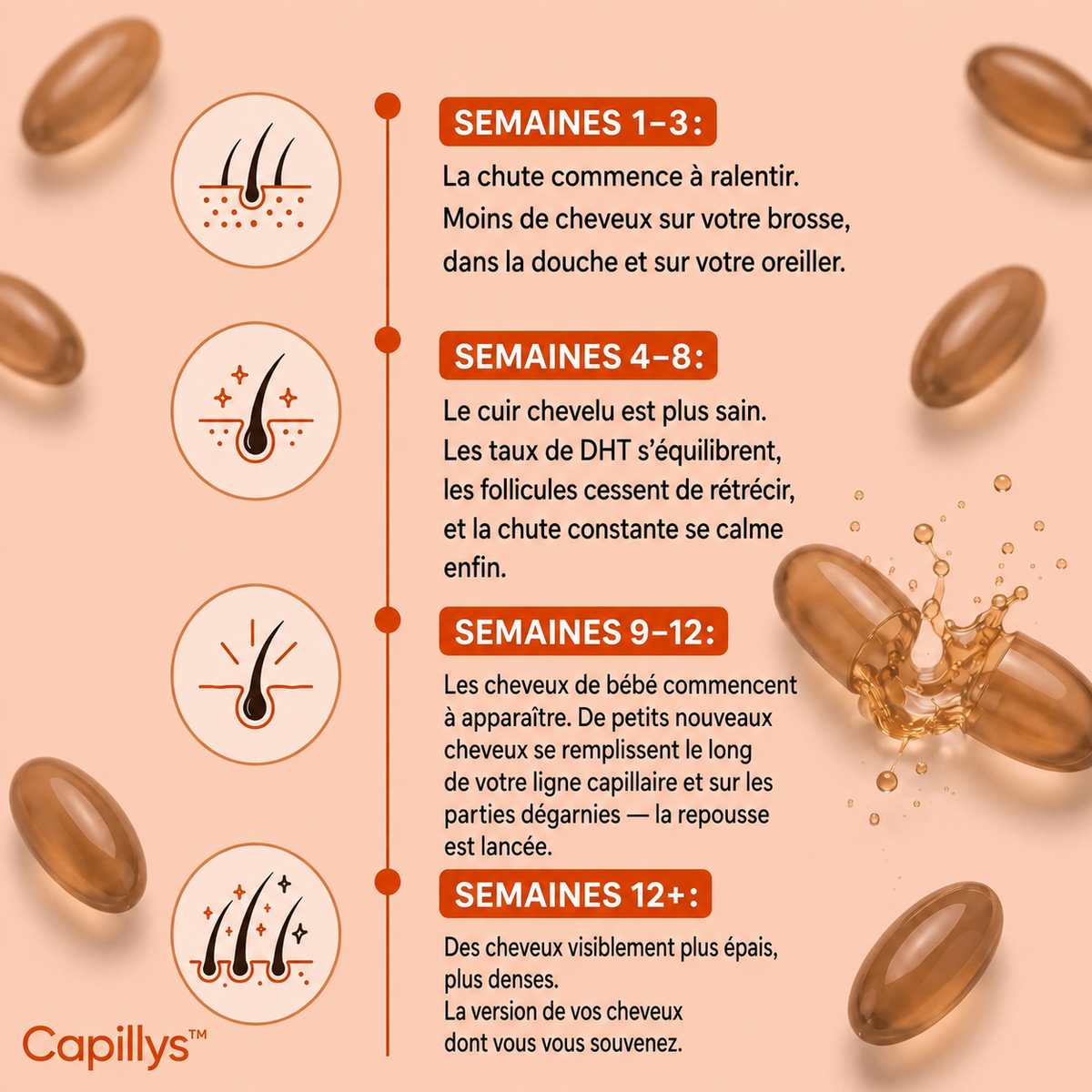 Capillys™ — chronologie en français
