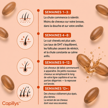 Capillys™ — chronologie en français
