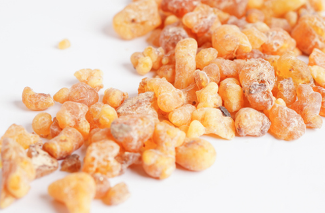Extrait de Boswellia Serrata